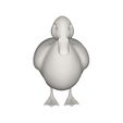 10001.jpg Duck