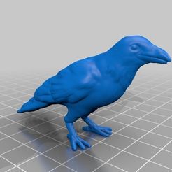 Crow_t.jpg カラス（Crow）3Dデータ