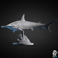hammerhead_shark.png Animals - Ocean Wildlife