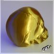 SkullVase_V2_3.jpg Free STL file Skull V2 - Vase mode・Object to download and to 3D print