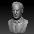 saul10.jpg Jimmy Mcgill/Saul Goodman