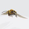 00.jpg DOWNLOAD BEE 3D Model BEE - Obj - FbX - 3d PRINTING - 3D PROJECT - BLENDER - 3DS MAX - MAYA - UNITY - UNREAL - CINEMA4D - BEE GAME READY - POKÉMON - RAPTOR