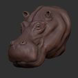 Shop2.jpg Hippopotamus portrait