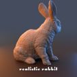 rr3.jpg Realistic Lifesize Rabbit