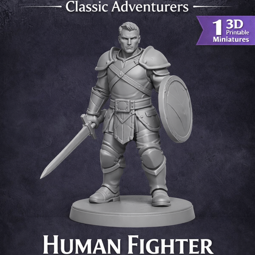 DND HUMAN FIGHTER
