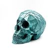 IMG_5273.jpg Archivo STL Cráneo Voronoi Low Poly・Idea de impresión 3D para descargar, sliceables