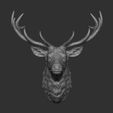 4.jpg Deer head