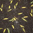 7.jpg Leafy Flooded Asphalt 8K PBR Texture