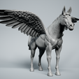 Pegasus-3.png Pegasus