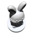 Rabbit5.jpg Rabbit