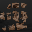 tyrannolophosaur-skull-jurassic-world-alive-model-3d-print-8.png tyrannolophosaur skull jurassic world alive model 3d print