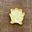 IMG_3060.jpg POKEMON TOGEPI SEAL COOKIE CUTTERS COOKIE CUTTERS COOKIE CUTTERS COOKIES COOKIES CUTTERS