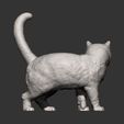 british-shorthair-cat9.jpg british shorthair cat 3D print model