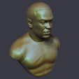 17.jpg Dr Dre Bust 3D print model