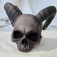 WhatsApp-Image-2023-05-16-at-23.11.56-1.jpeg Demon Skull Mate