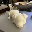 Chiens paresseux