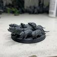 IMG_1560.jpg Free STL file Ravenous Rodent Swarms・Object to download and to 3D print