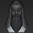 24.jpg Файл 3D Dumbledore from Harry Potter bust 3D printing ready stl obj・Модель для загрузки и печати в формате 3D