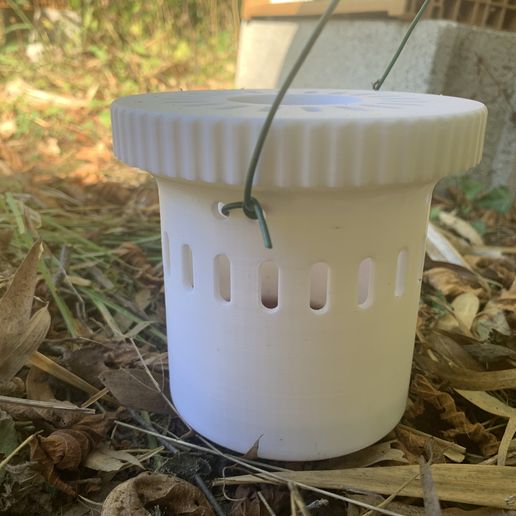 IMG_5342.jpg Selektive asiatische Hornissenfalle