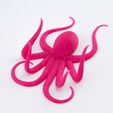 6fb4681b6ff4912a752f4cd859481d05_1446492342626_NMD000311-162_@2x.jpg Free STL file Octopus Hanger・3D printing design to download