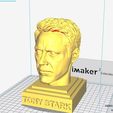 Tony6.jpg Tony Stark head sculpture - Robert Downey Jr