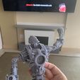 Imagen-de-WhatsApp-2025-10-02-a-las-23.07.21_0b0b1b2f.jpg Gypsy danger(articulated)