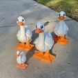 Porch-Goose-FunFam3D-10.jpeg Oca da portico