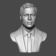 09.jpg Brad Pitt portrait sculpture