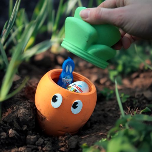 carotte8.jpg Carlo the Carrot Container