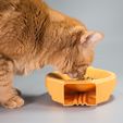 _MG_6095.jpg PappaTime