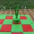 picture-(9).jpg Garden Chess Set