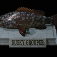 Dusky-grouper-24.png fish dusky grouper / Epinephelus marginatus statue detailed texture for 3d printing