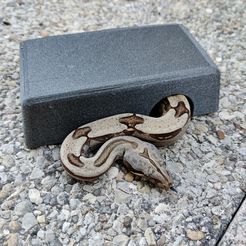 IMG_20230831_194929.jpg STL-Datei Reptilienversteck・Modell für 3D-Drucker zum Herunterladen