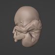 bebe3.jpg Baby, alien and vole embryos