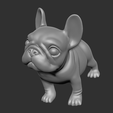 FBD06.png Frage Französische Bulldogge
