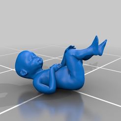 ad069f3caebf453209b18df80f4cd2e2.png STL-Datei Human Fetus kostenlos・Design für 3D-Drucker zum herunterladen