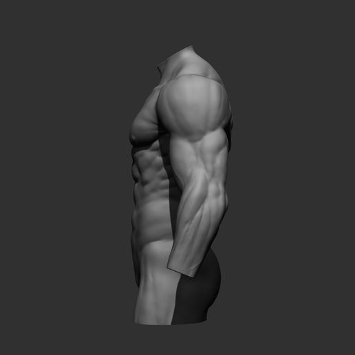 3.jpg Archivo 3D 4 Torsos masculinos・Modelo para descargar e imprimir en 3D, Daniartist