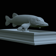 Pike-statue-22.png fish Northern pike / Esox lucius statue detailed texture for 3d printing