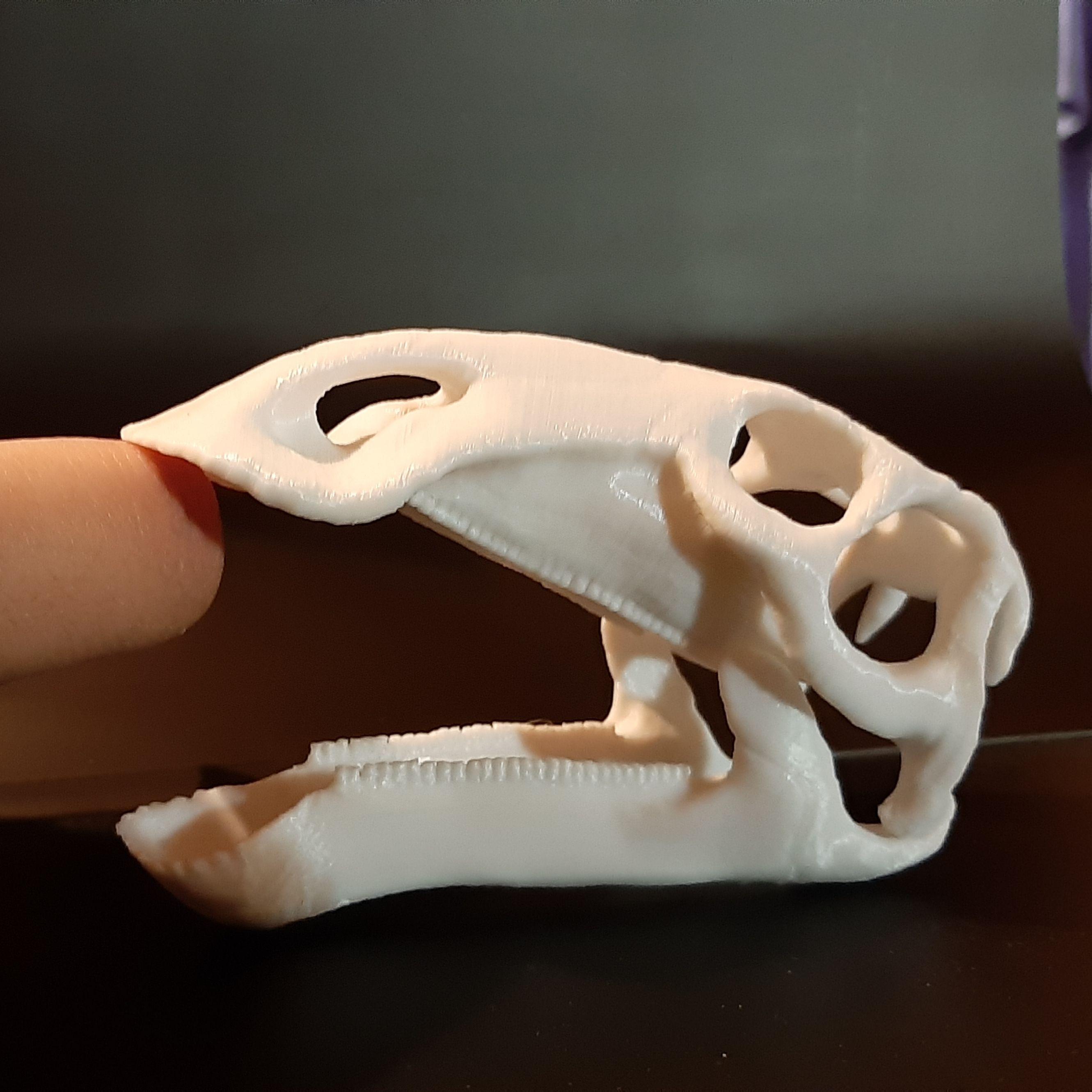 20200929_231938.jpg Fichier STL Crâne d'un dinosaure hadrosaur・Objet imprimable en 3D à télécharger, Lucas_Kranz