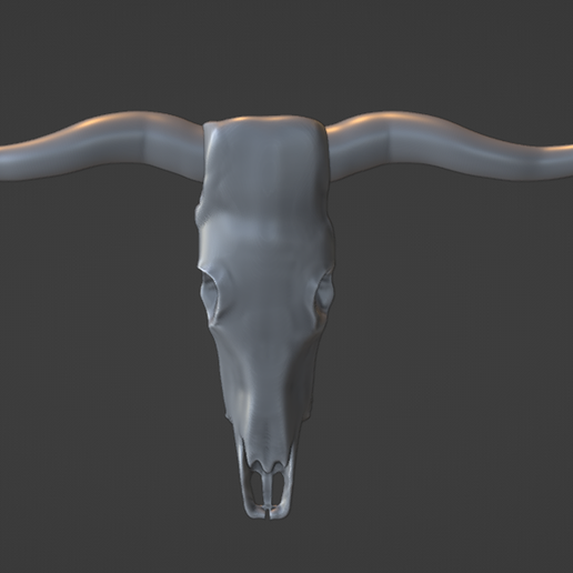 Bull skull Decor 3D model