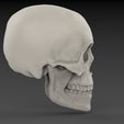 untitled.166.jpg Classic Skull