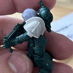 Pads d'intercesseur d'assaut Primaris (Salamandres)
