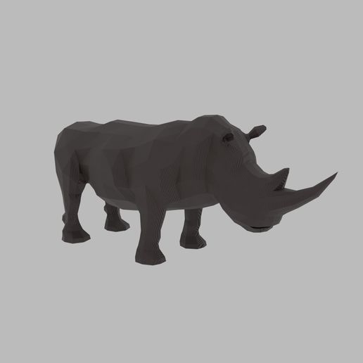 untitled.jpg Rhinoceros