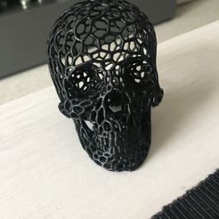 IMG_3132.JPG Voronoi skull