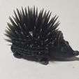 20191108_214436.jpg Бесплатный STL файл Cute Porcupine・Шаблон для 3D-печати для загрузки
