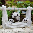 IMG_20230722_085859762_PORTRAIT.jpg Swinging Panda  (Fidget Toy)