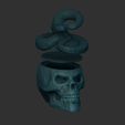 Shop4.jpg Skull with rattlesnake, eyes open