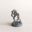 PXL_20220509_064851633.jpg Download file W40K Warriors of flay cult • 3D printer object, martinletiec