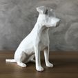 IMG-20240506-WA0019.jpg Jack Russell Low Poly