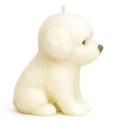 87E3ED10-D6B3-4E35-9116-83CB83927DD8-copia.png HUNDEDUFTKERZE - KERZE / KERZE